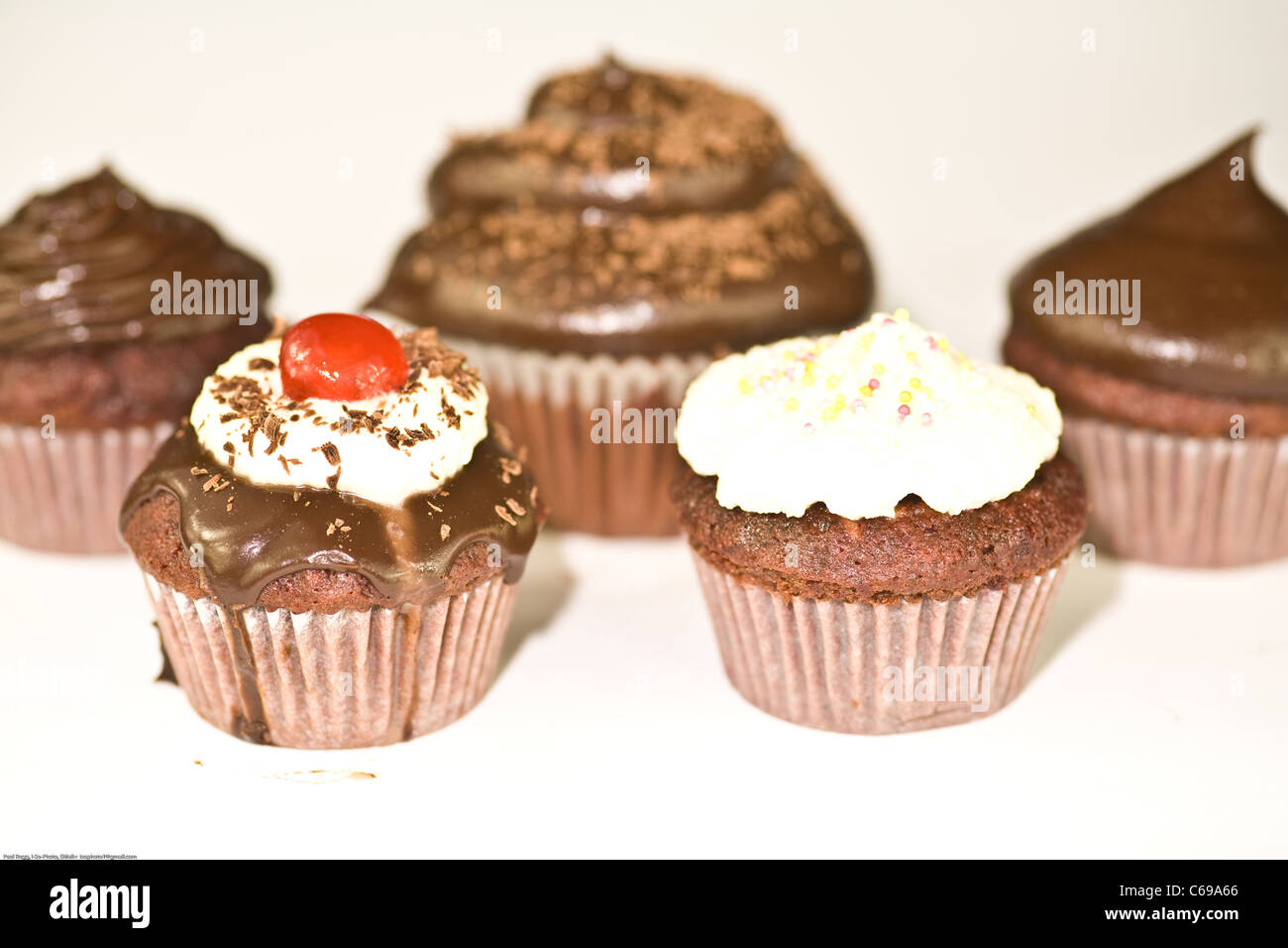 Schokoladen-Muffins isoliert auf weiss Stockfoto