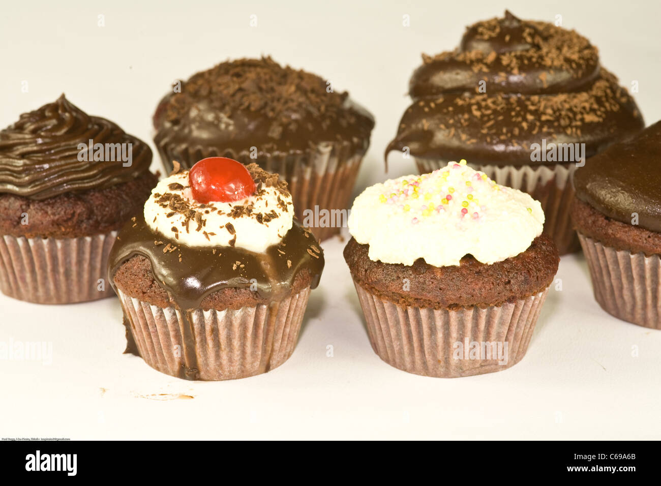 Schokoladen-Muffins isoliert auf weiss Stockfoto