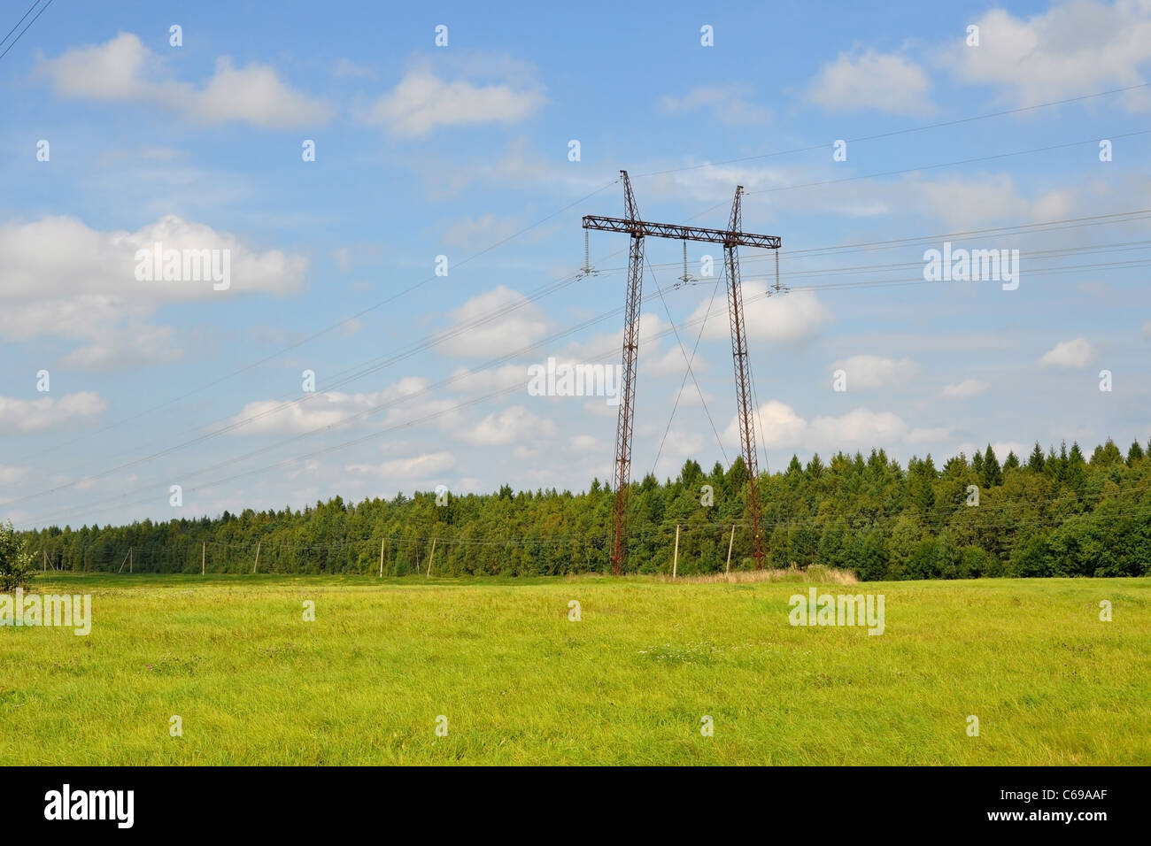 Stromleitungen auf einem Hintergrund von Wiesen und Bäumen Stockfoto