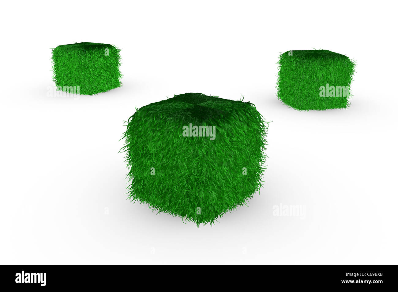 Grasgrün Würfel auf weißem Hintergrund Stockfoto