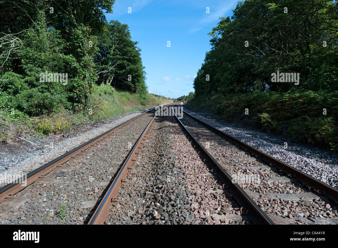 Eisenbahnschienen Stockfoto