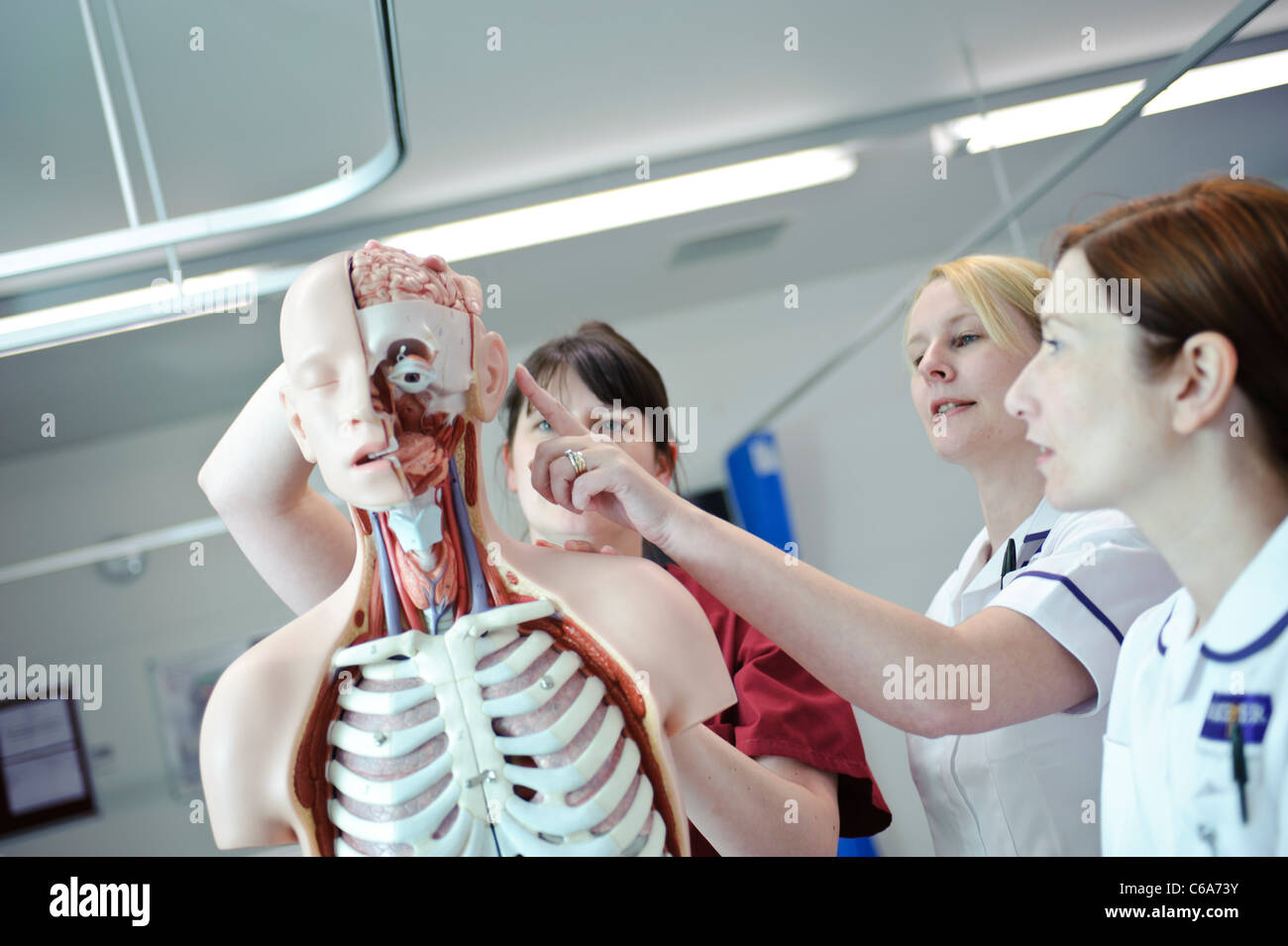 Studentin weißen Krankenschwestern und Lehrer, die Interaktion mit menschlichen Anatomie anatomische Modell Stockfoto