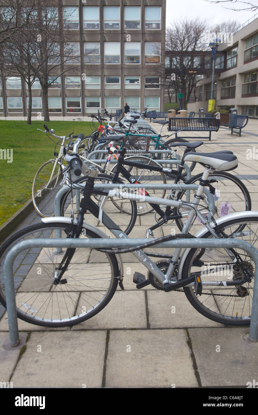 Fahrräder, eingesperrt auf einem Universitätscampus in Leeds Stockfoto