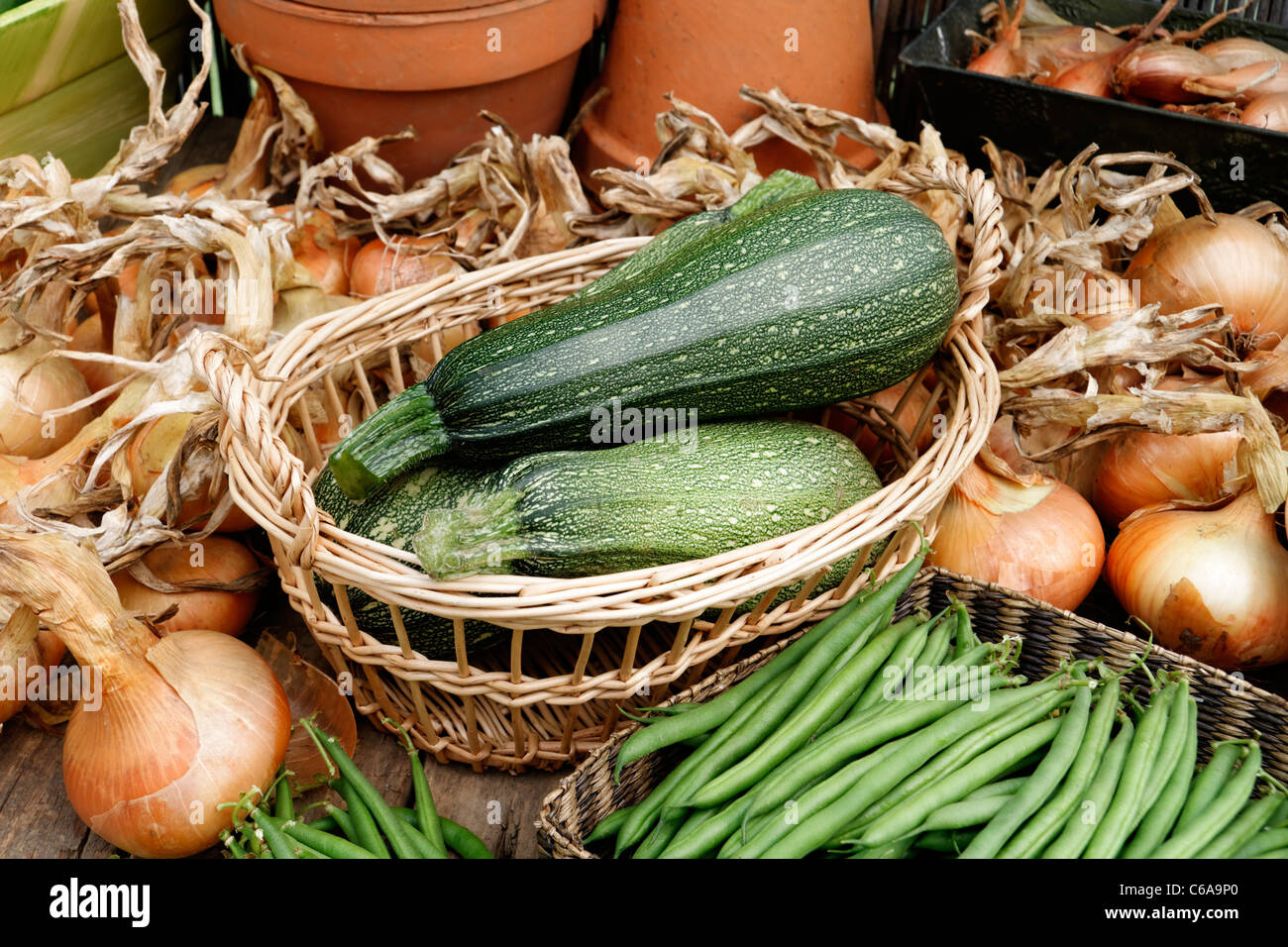 Im Schutz des Gartens: Ernte, Zucchini, grüne Bohnen, Zwiebeln, Schalotten. Stockfoto