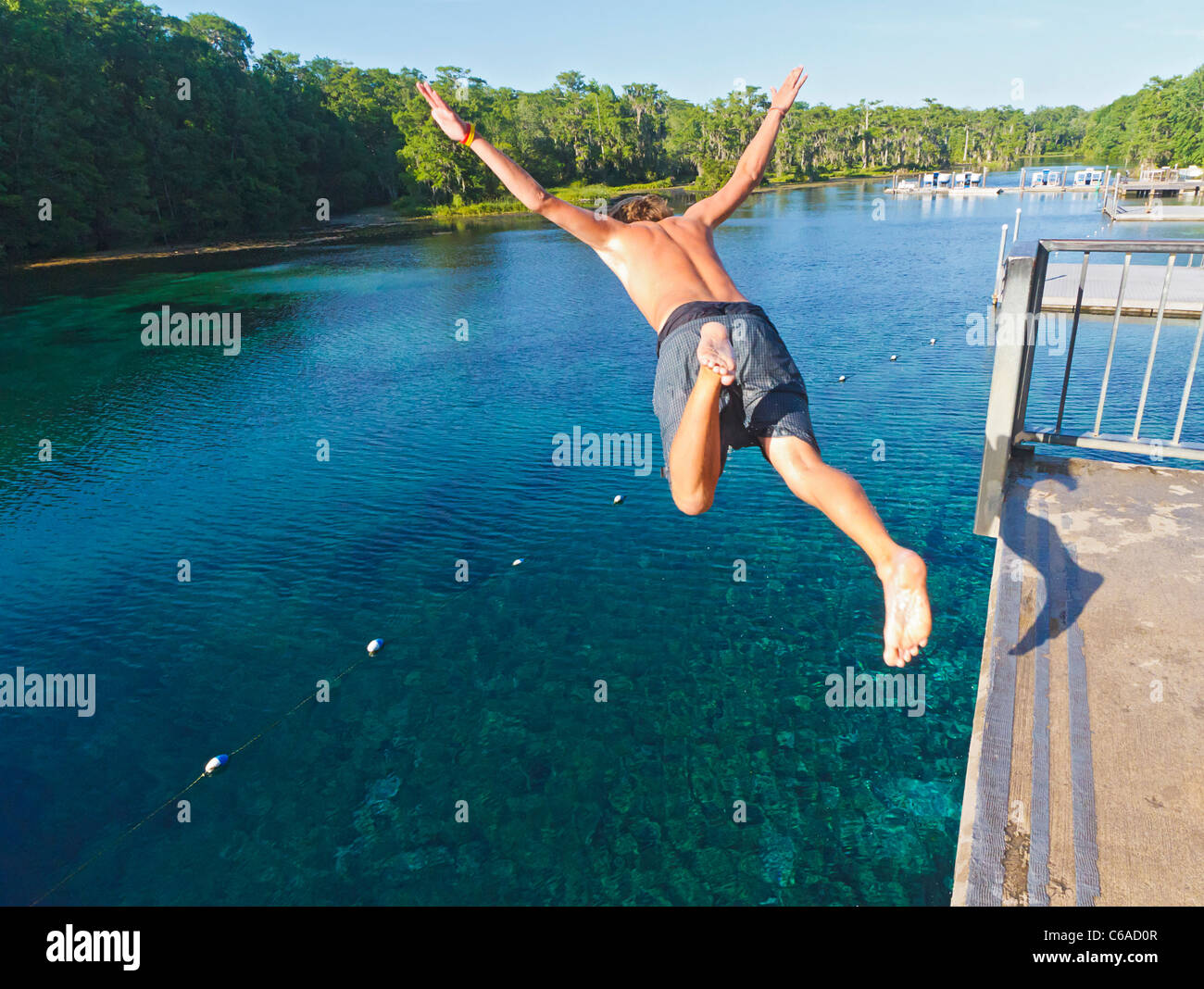 Junger Mann taucht in Wakulla Frühling von hohen Plattform Stockfoto