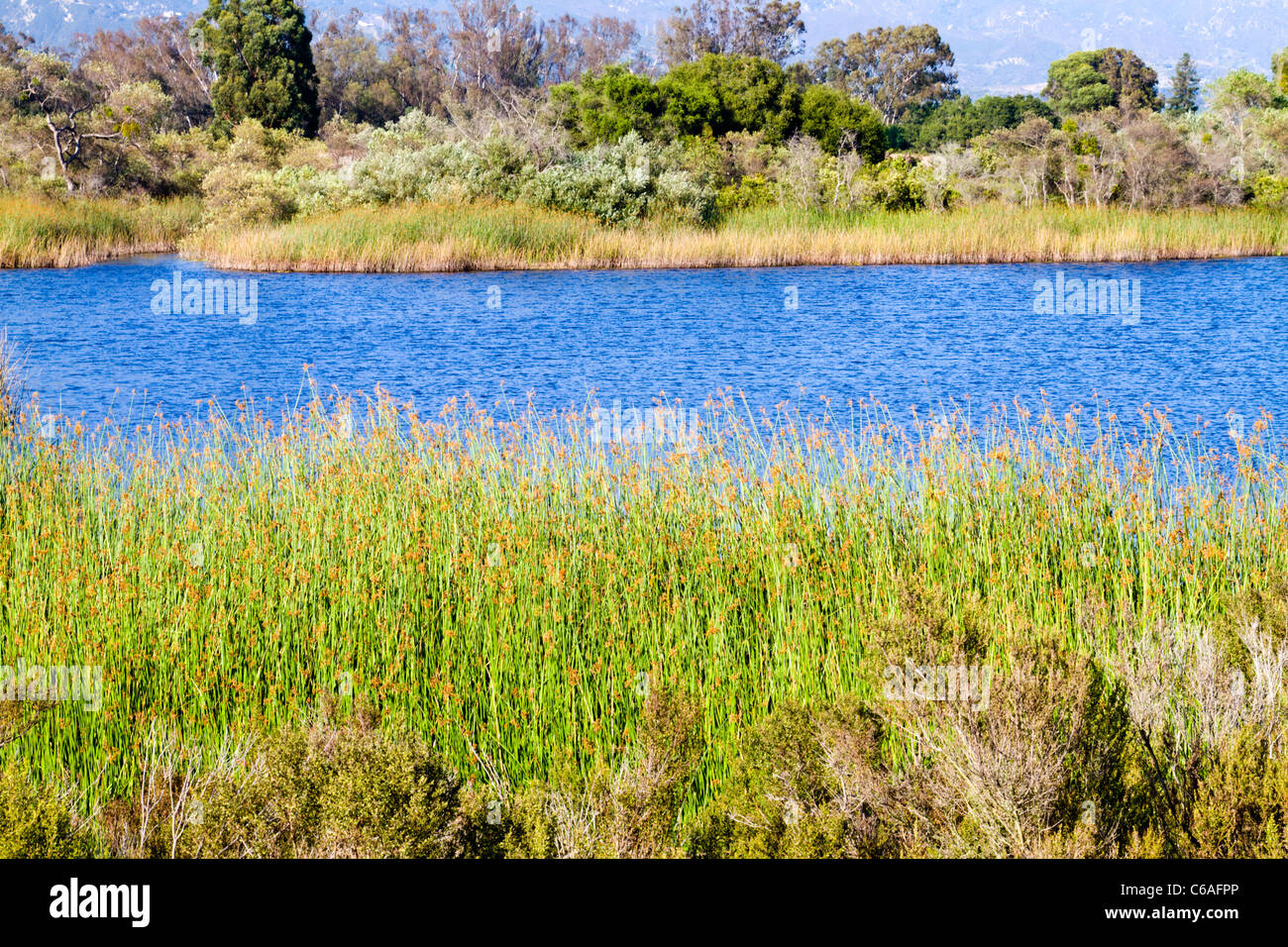 Blick auf Lake Carneros in Goleta in der Nähe von Santa Barbara, Kalifornien Stockfoto