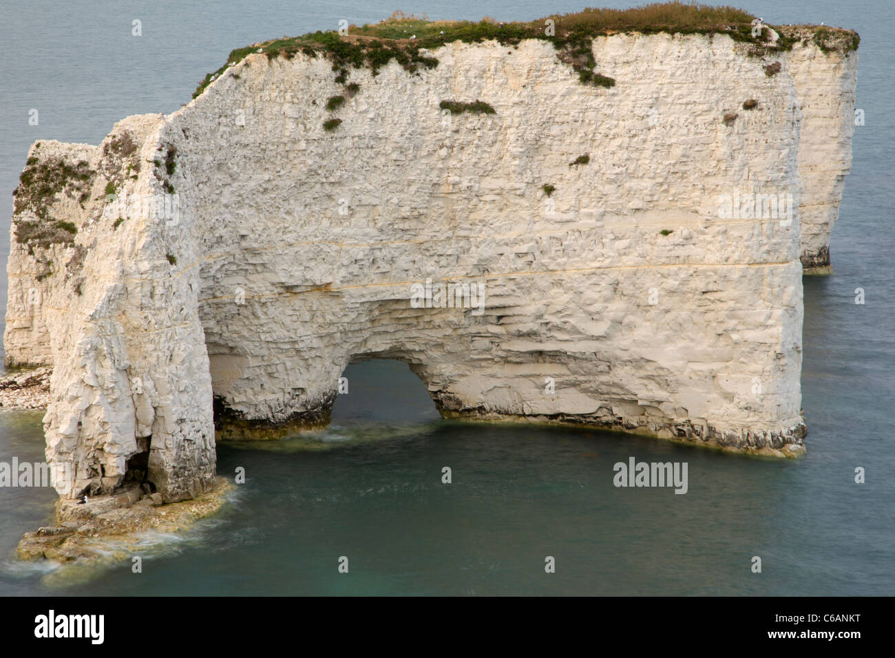 Die Zinnen an Old Harry Rocks, Jurassic Coast, Dorset, England. Ein UNESCO-Weltkulturerbe Stockfoto