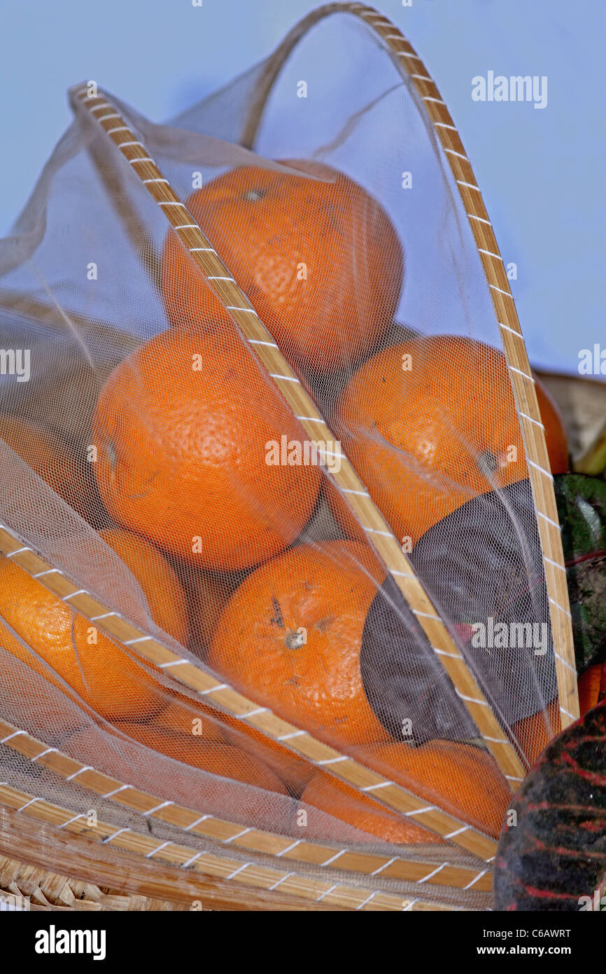 Orangen-Citrus sinensis Stockfoto