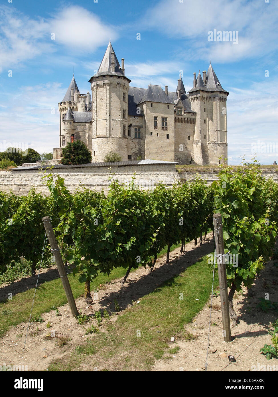 Chateau de Saumur mit Weinberg in der Vordergrund, Anjou, Region Loire-Tal, Frankreich Stockfoto