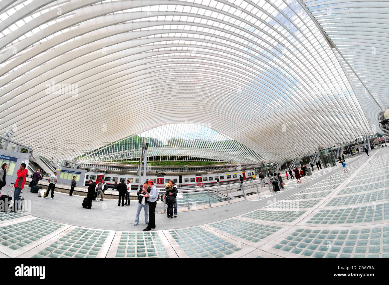 Lüttich, Belgien. Hauptbahnhof - Gare des Guillemins (2009 - Santiago Calatrava Valls) Fish-Eye Ansicht Stockfoto