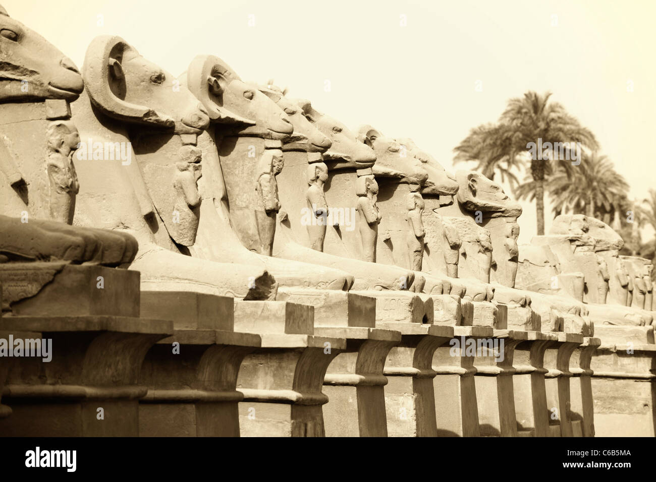 Allee der Widderköpfige Sphingen führt zu den ersten Pylon am Karnak-Tempel, Luxor, Ägypten Stockfoto