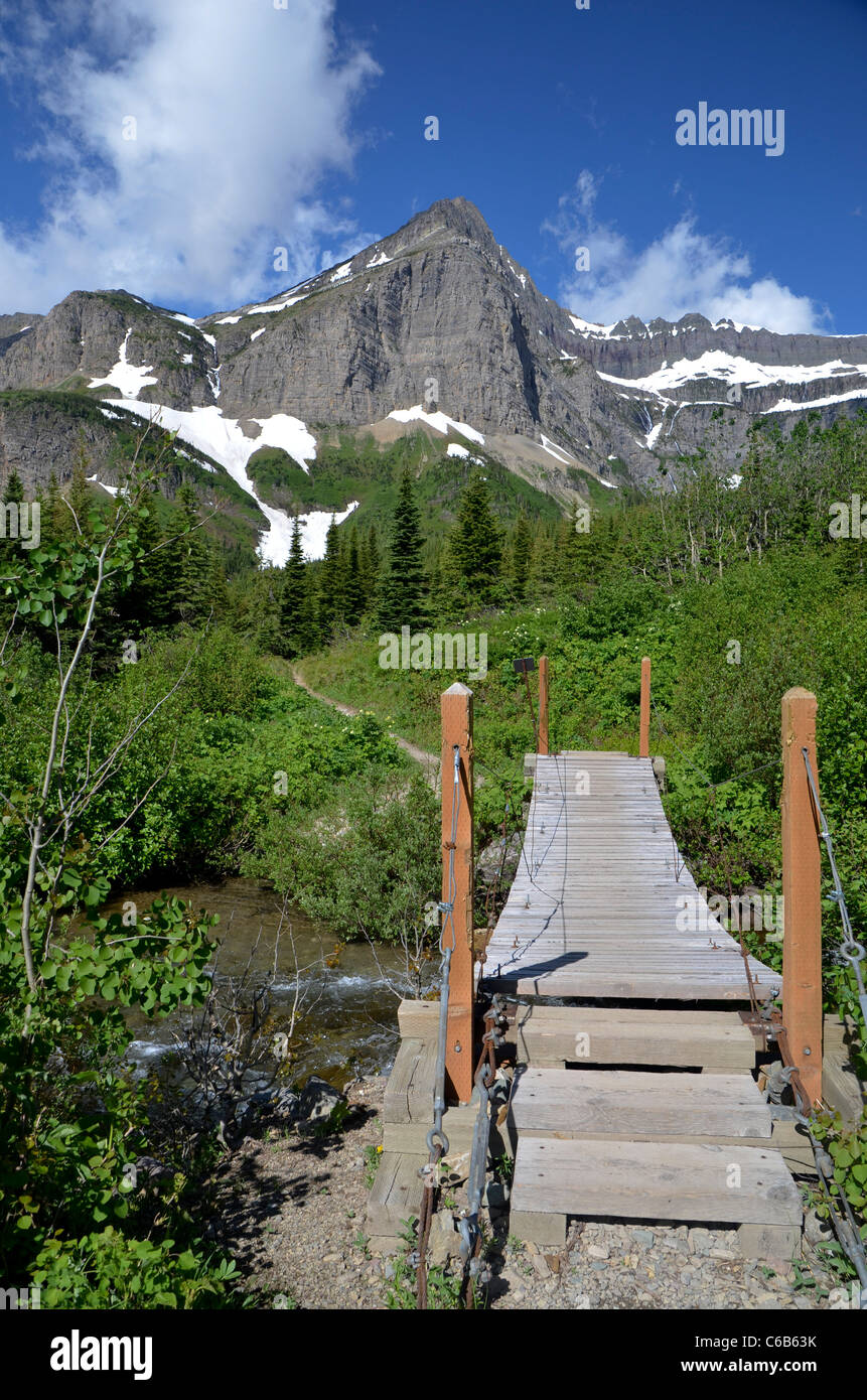 Swiftcurrent Trail, Glacier National Park, Montana Stockfoto