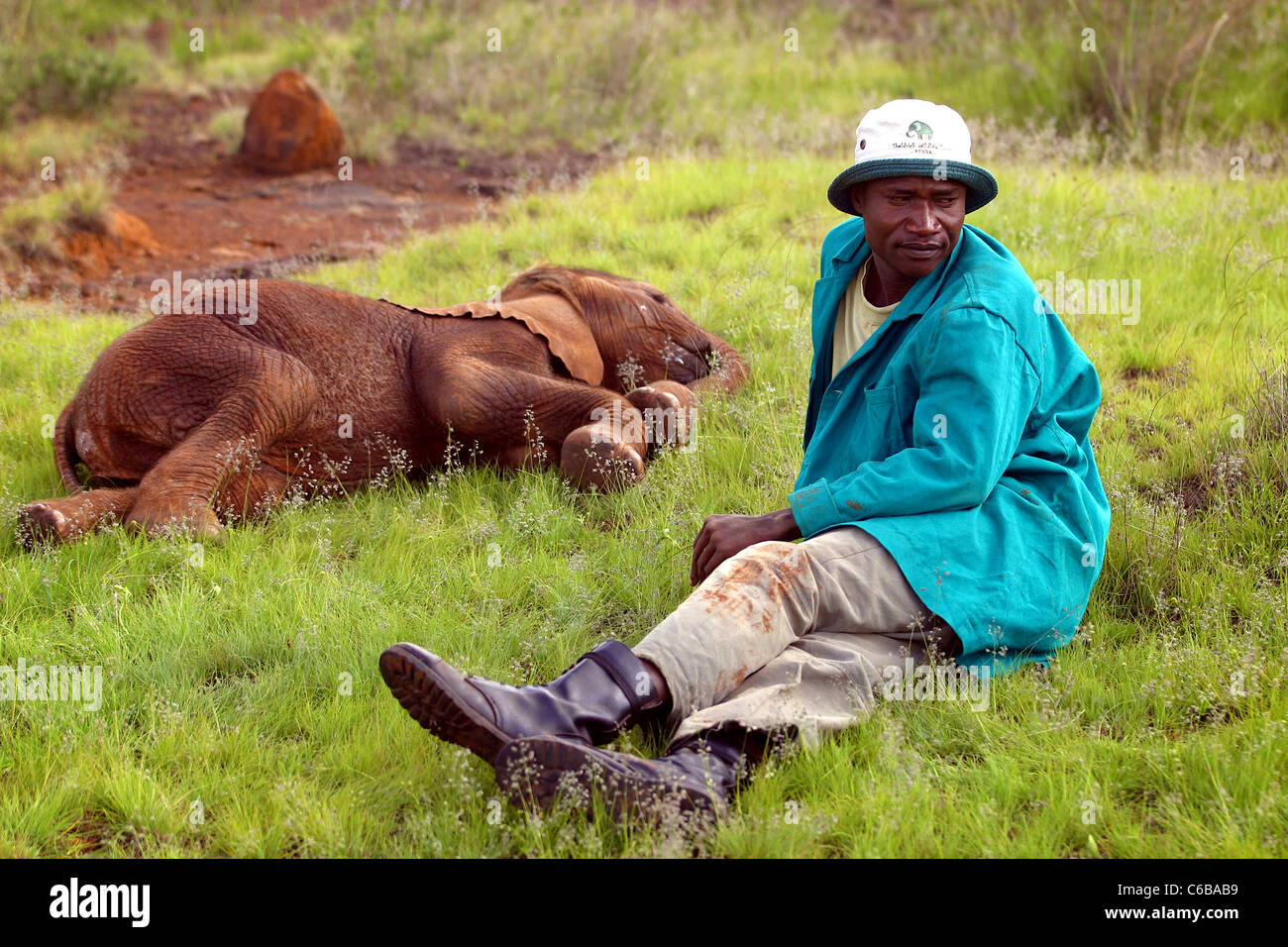 KEEPER ENTSPANNT MIT BABY-ELEFANTEN IM SHELDRICK ELEPHANT WAISENHAUS NAIROBI KENIA Stockfoto