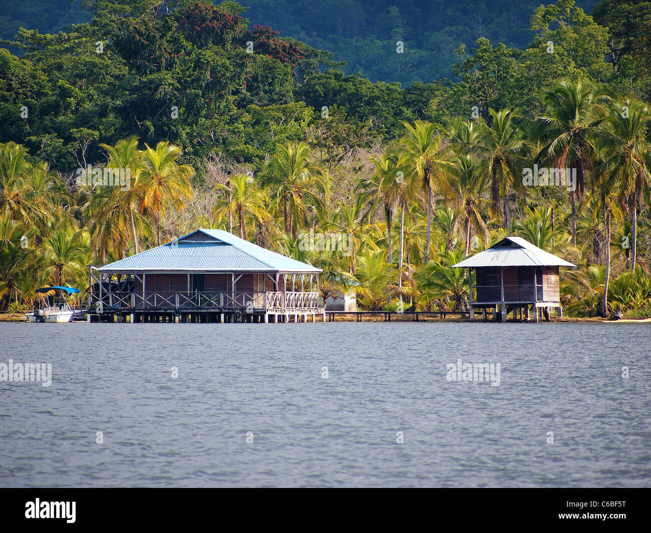 Karibisches Haus und Hütte mit Kokosnüssen Bäume im Archipel von Bocas del Toro, Panama Stockfoto