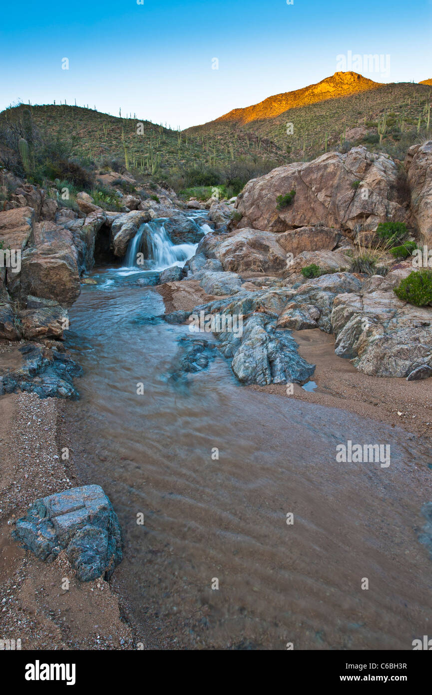 Frühlingsregen schaffen einen schönen Fluss in Cottonwood Creek in Hewitt Canyon, AZ. Stockfoto