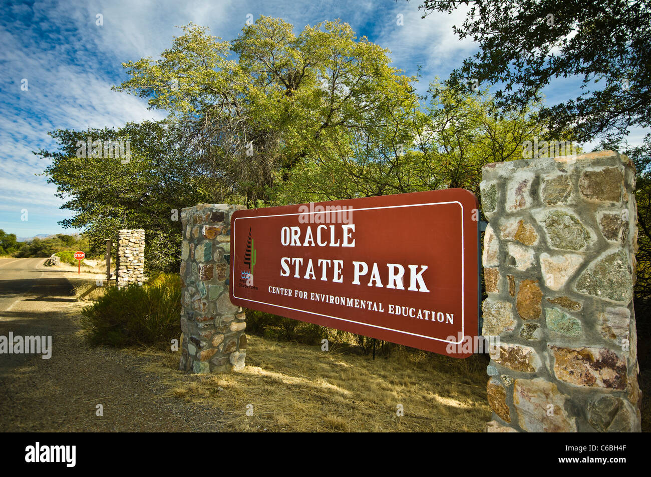 Oracle State Park befindet sich am Rande der Sonora-Wüste in den nordöstlichen Ausläufern der Santa Catalina Mountains. Stockfoto