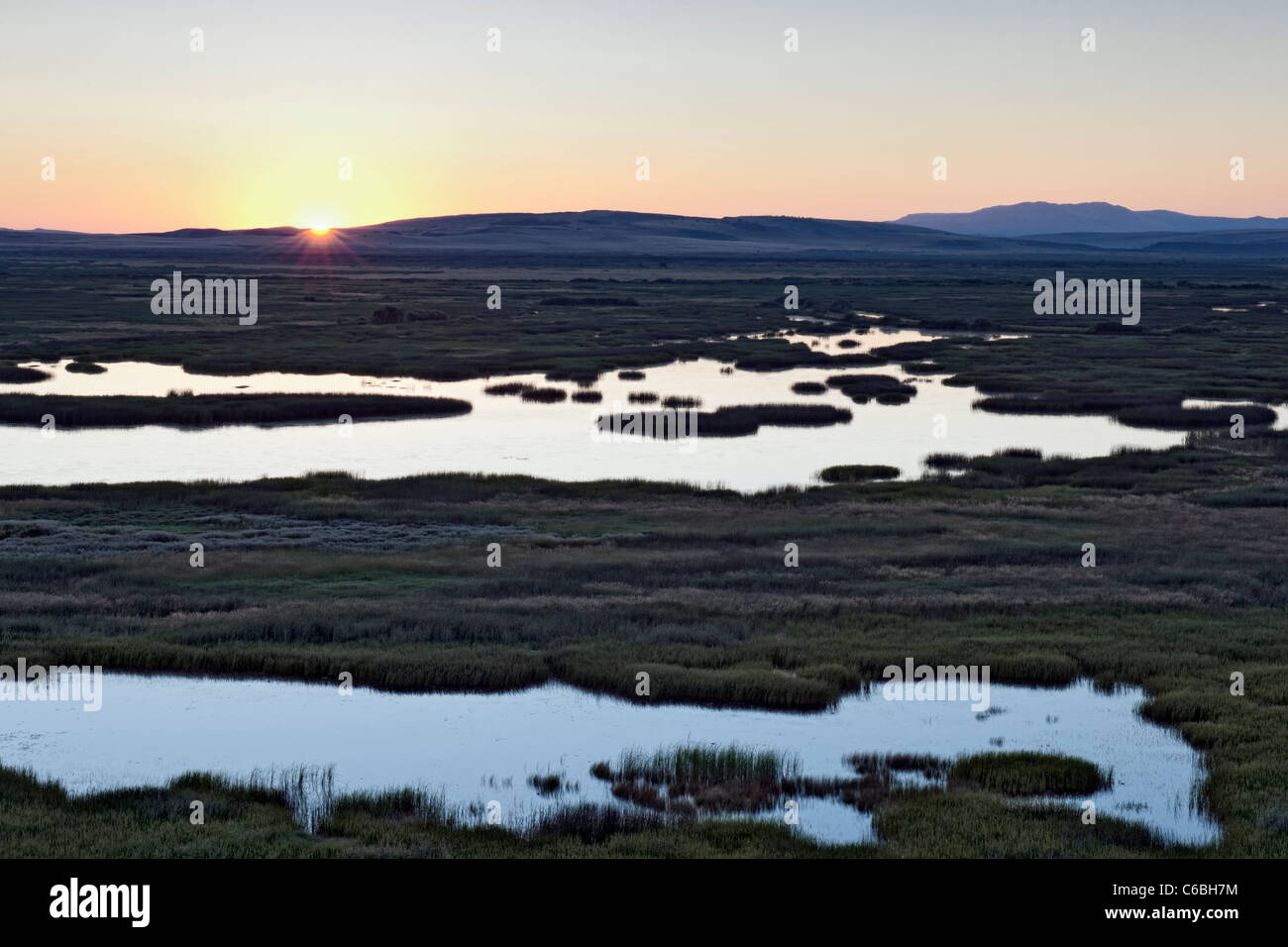 Teiche vogelbeobachtung Fotos und Bildmaterial in hoher Auflösung Alamy