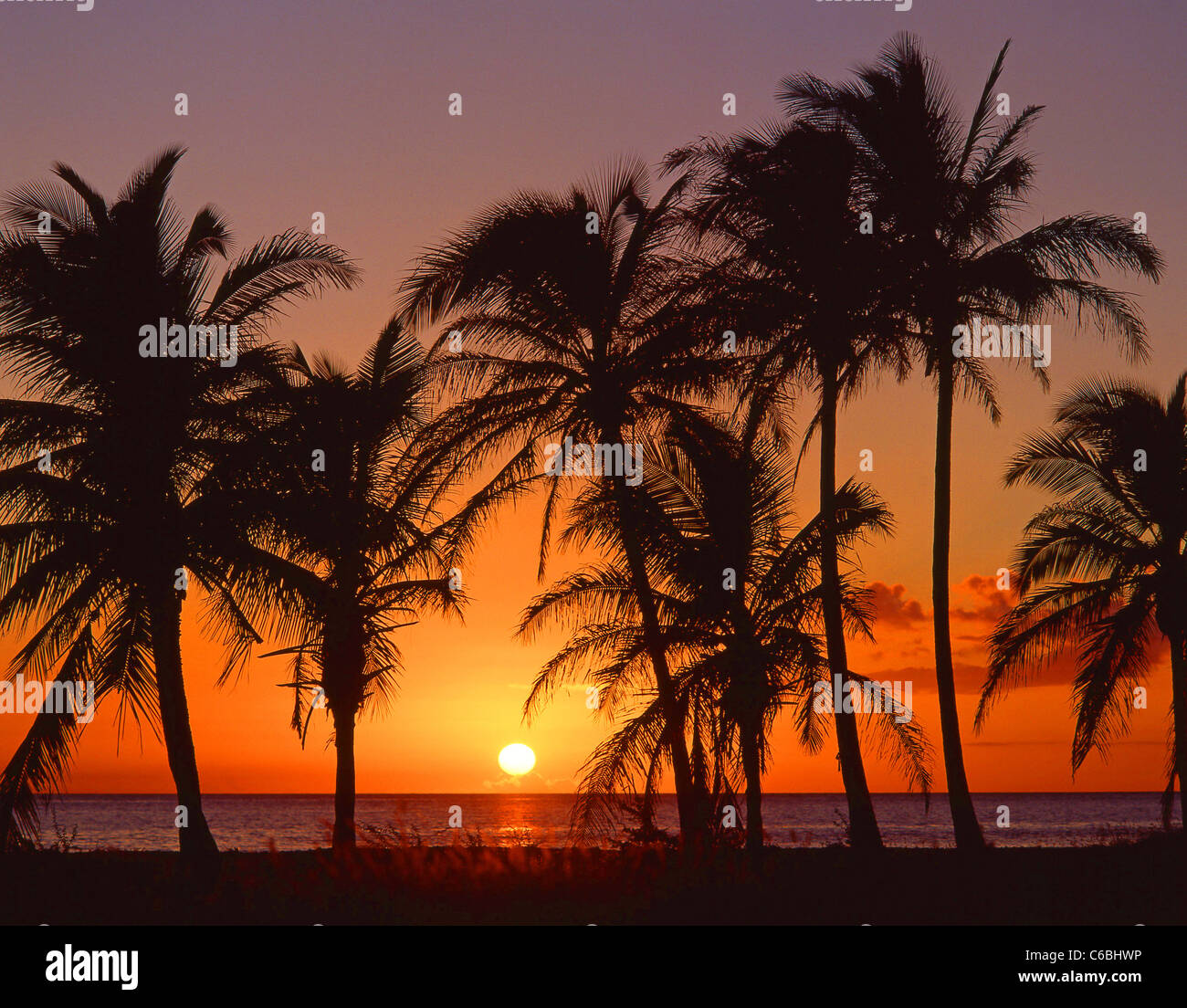 Coastal Sonnenuntergang durch Palmen, Maui, Hawaii, Vereinigte Staaten von Amerika Stockfoto