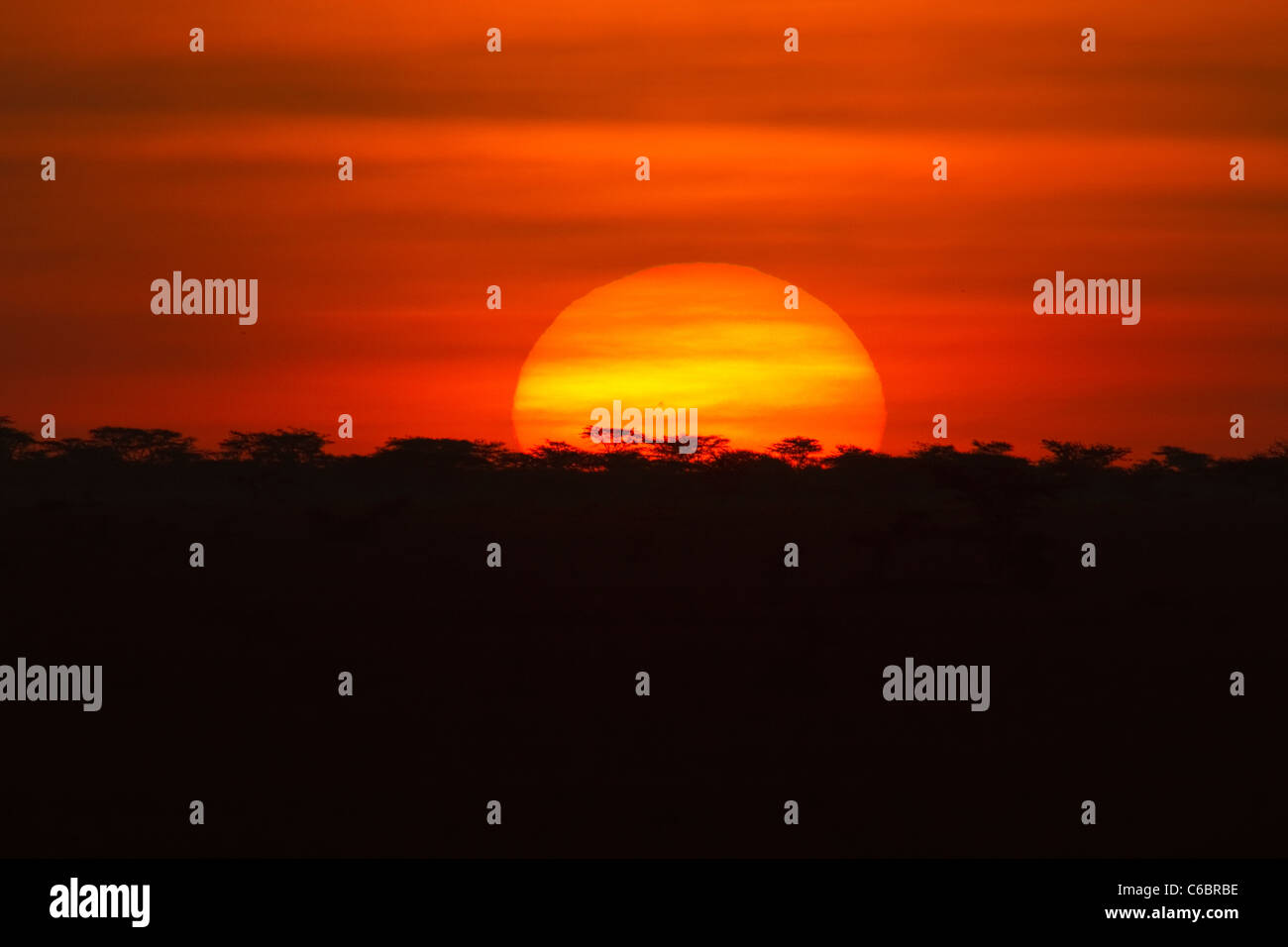 Sonnenuntergang über der Savanne Äthiopien. Stockfoto