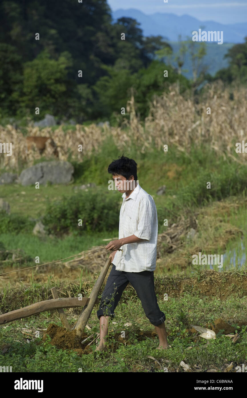 Junge Pflügen grob gemahlen in Nord-West-Vietnam. Traditionellen hölzernen Pflug gezogen von einem Wasserbüffel. Stockfoto