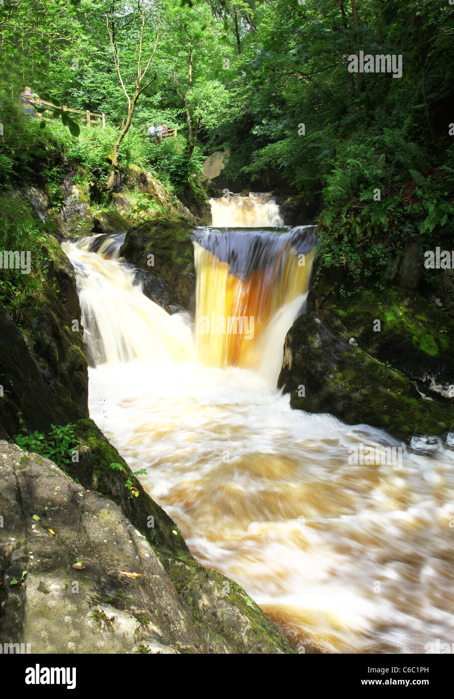 Pecca Twin fällt auf den Ingleton Wasserfällen Weg, Ingleton, North Yorkshire, Yorkshire Dales National Park Stockfoto