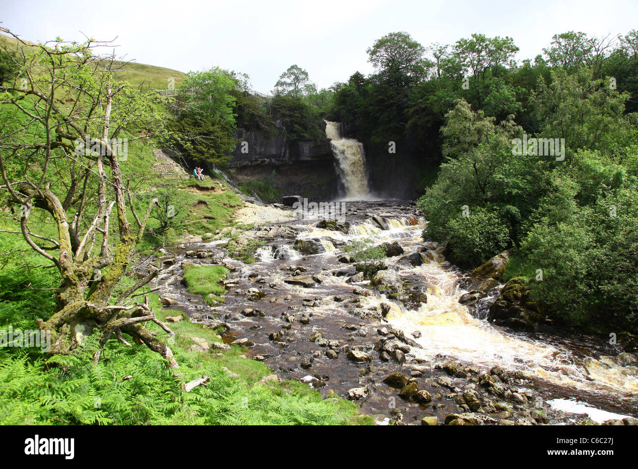 Thornton Force Wasserfall am Ingleton Wasserfälle Trail, Ingleton, North Yorkshire, Yorkshire Dales National Park England UK Stockfoto