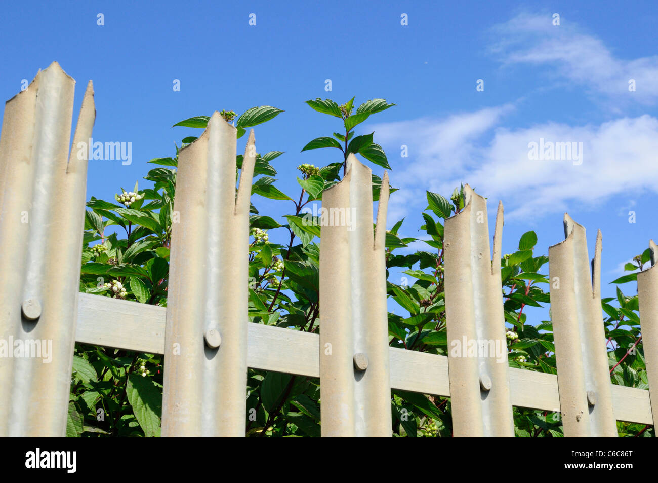 Eine Nahaufnahme Detailbild von Anti-Eindringling Fechten mit Unterholz wachsen hinter sich. Stockfoto