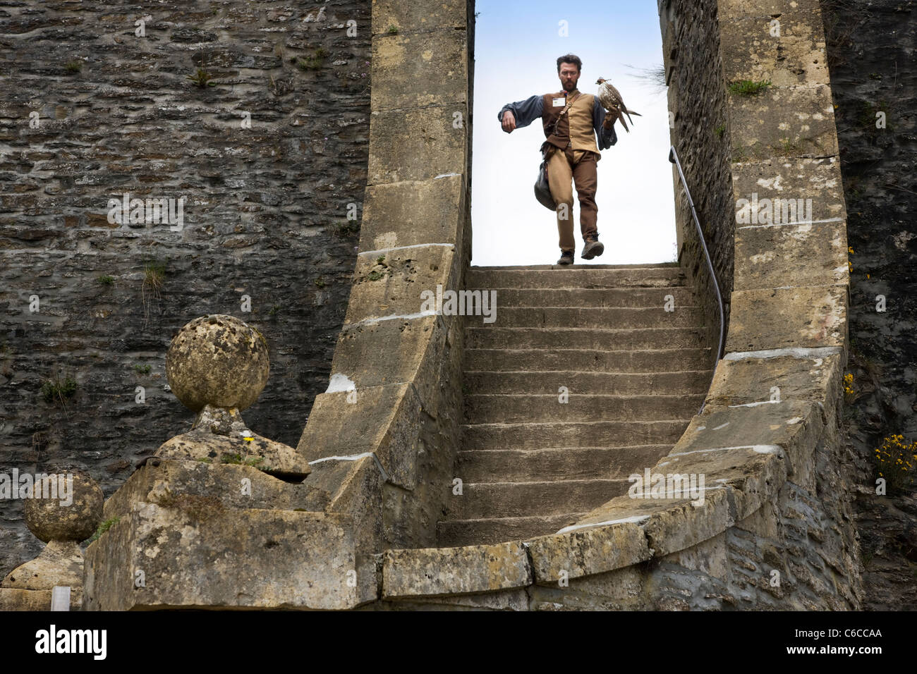 Falkner mit Greifvogel in der mittelalterlichen Burg von Bouillon in den belgischen Ardennen, Belgien Stockfoto