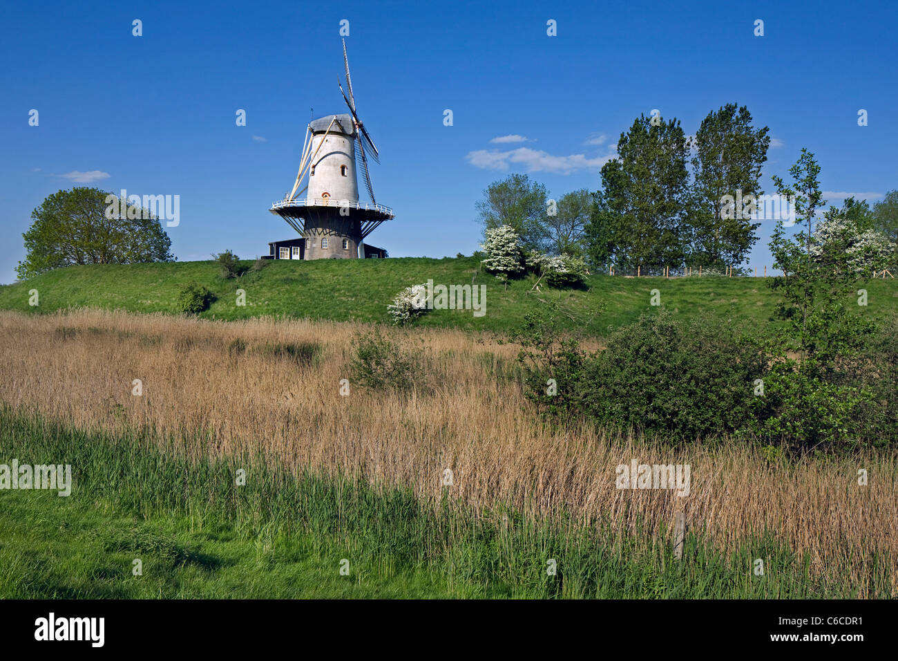Windmühle De Koe in Veere, Zeeland, Niederlande Stockfoto
