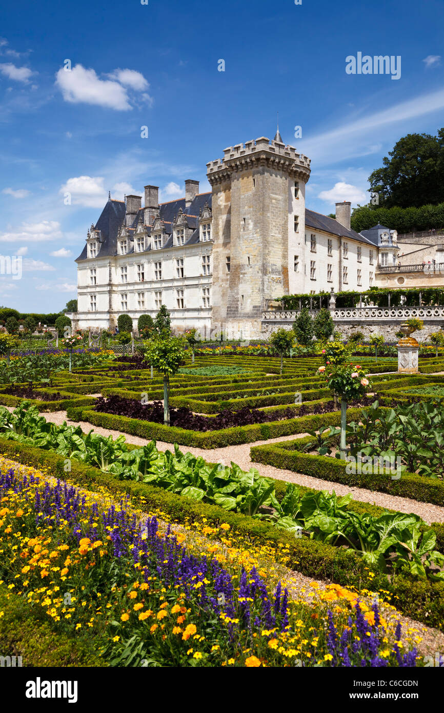Villandry Schloss und Gärten, Loire-Tal, Indre et Loire, Frankreich, Europa Stockfoto