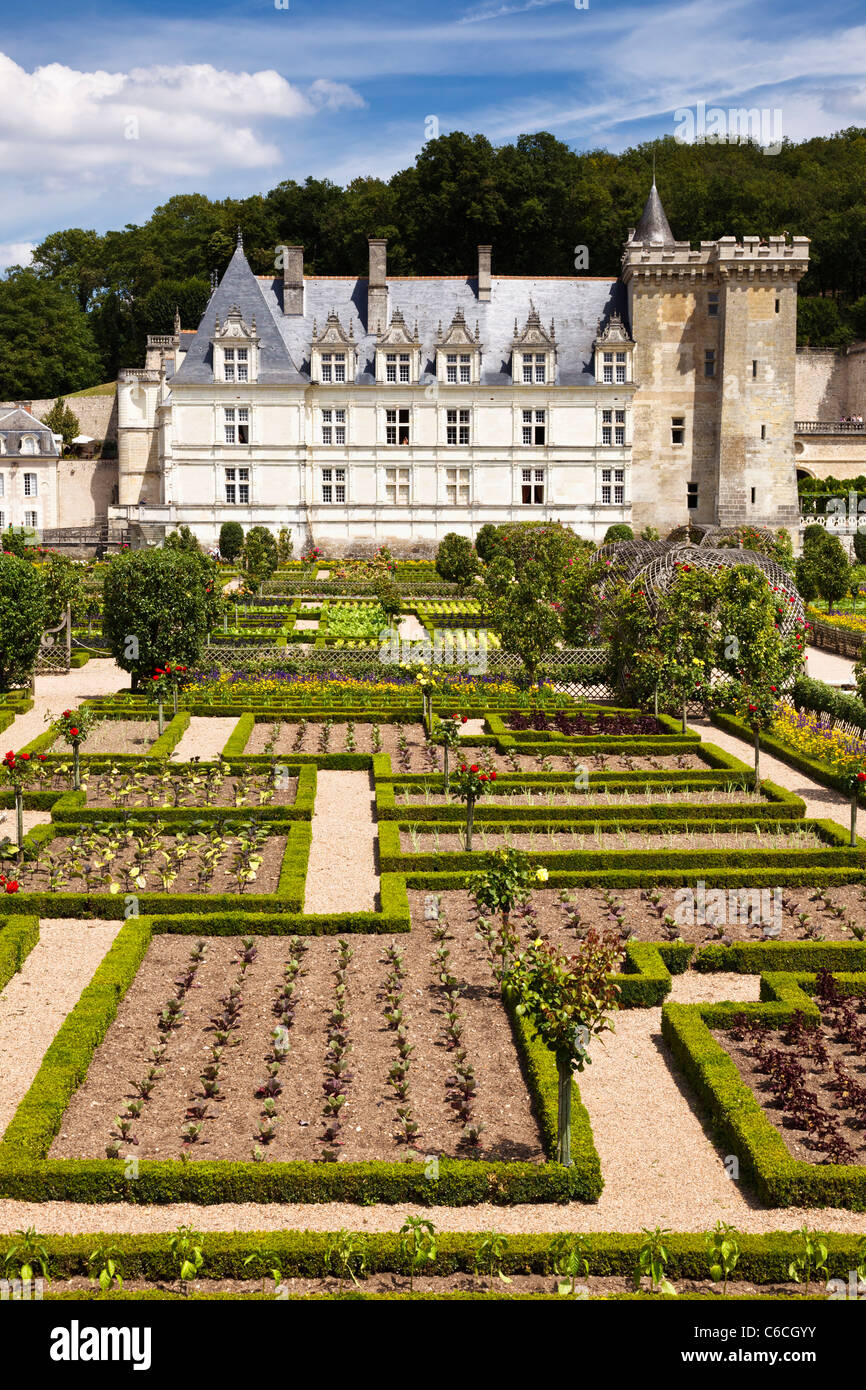 Villandry, Loiretal, Frankreich, Europa Stockfoto