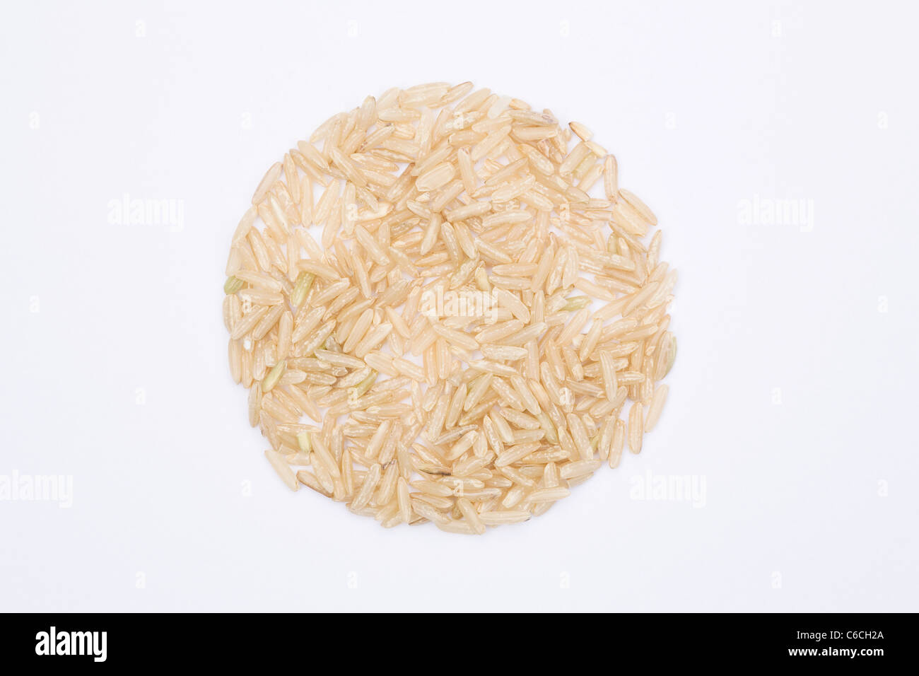Oryza Sativa. Langkornreis braun auf weißem Hintergrund. Asiatischer Reis. Stockfoto