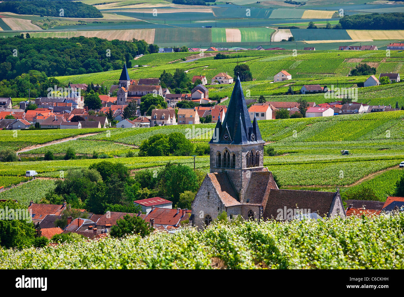 Frankreich, Marne, Villedomange, einem Dorf in der Nähe von Reims mit Champagner Wein verbunden Stockfoto