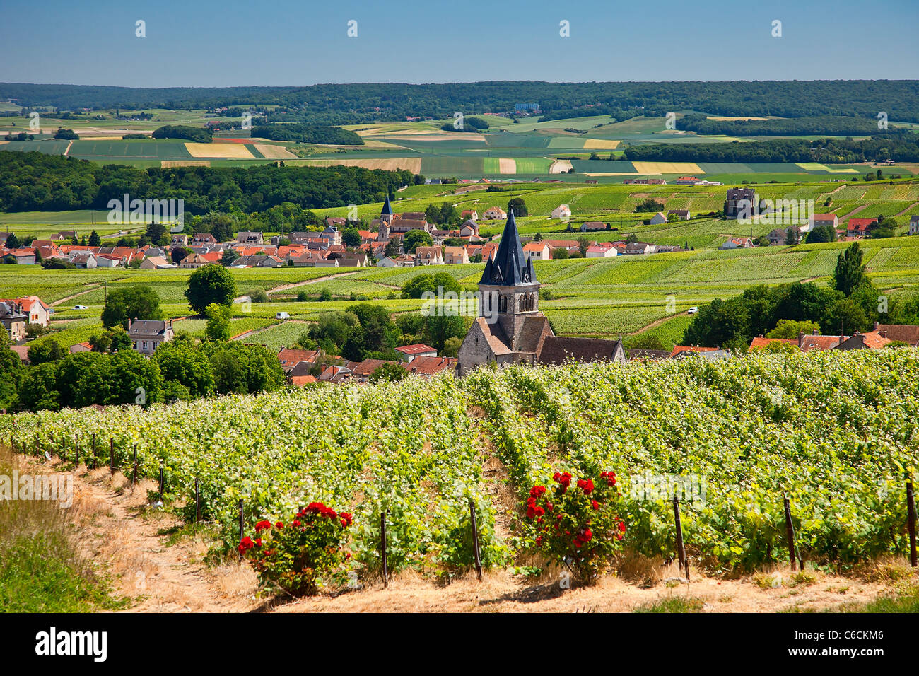 Frankreich, Marne, Villedomange, einem Dorf in der Nähe von Reims mit Champagner Wein verbunden Stockfoto