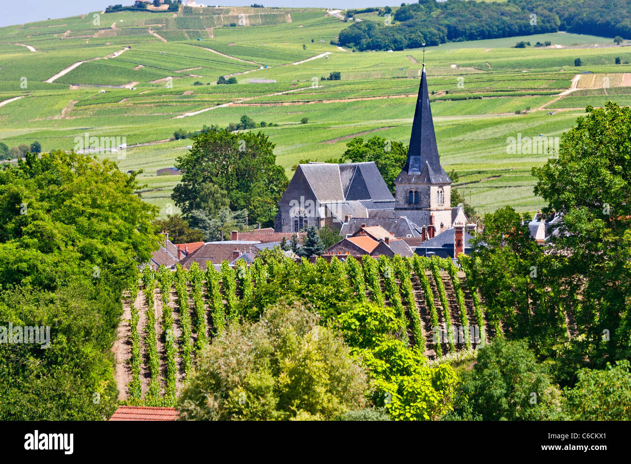 Frankreich, Marne, Rilly la Montagne, einem Dorf in der Nähe von Reims mit Champagner Wein verbunden Stockfoto