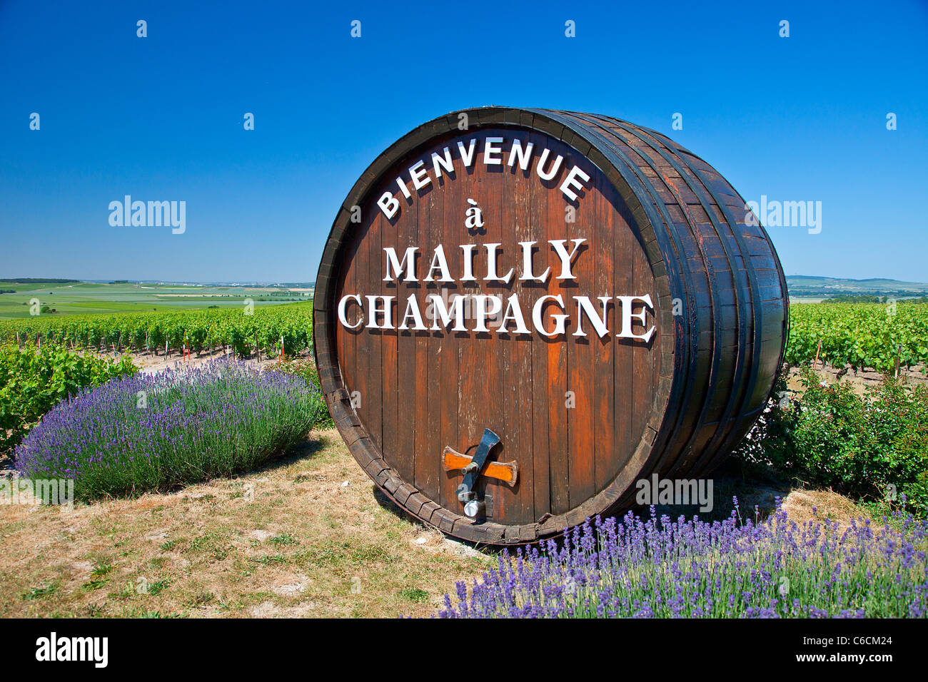 Frankreich, Marne, Mailly Champagne, einem Dorf in der Nähe von Reims mit Champagner Wein verbunden Stockfoto
