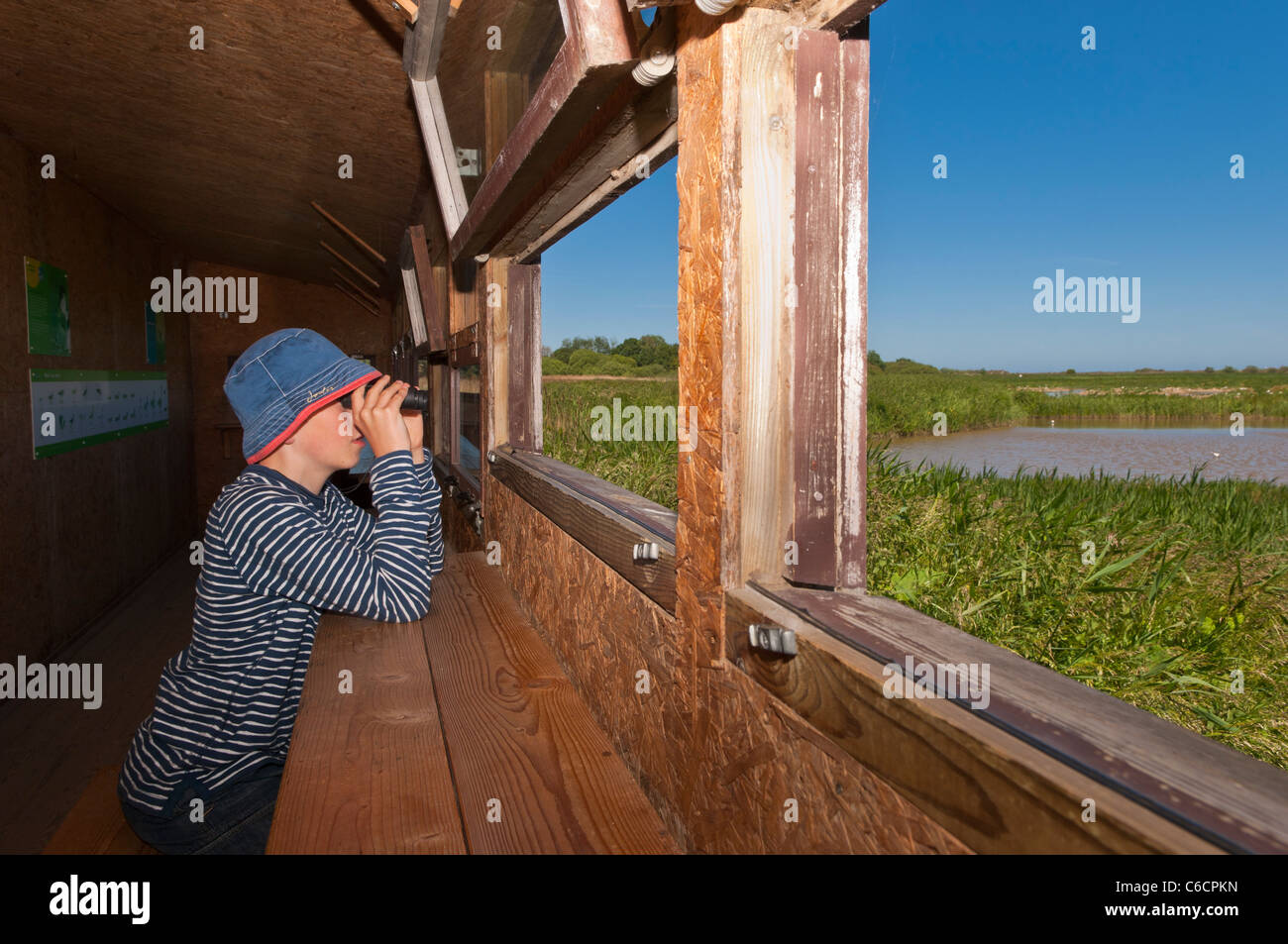 Ein junger Vogelbeobachter in ein Versteck Vogelbeobachtung Minsmere Vogel zu reservieren, Suffolk, England, Großbritannien, Vereinigtes Königreich Stockfoto