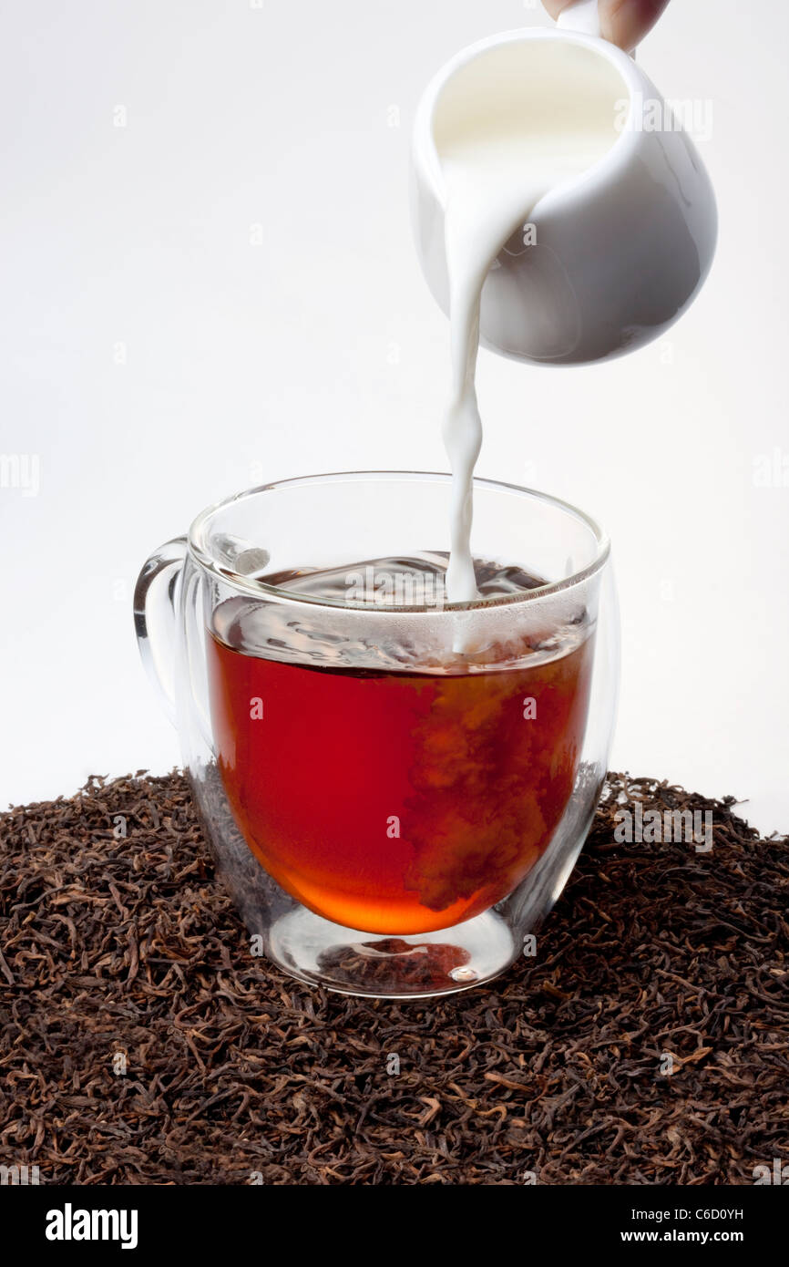 Schwarzer Tee und Milch Stockfoto