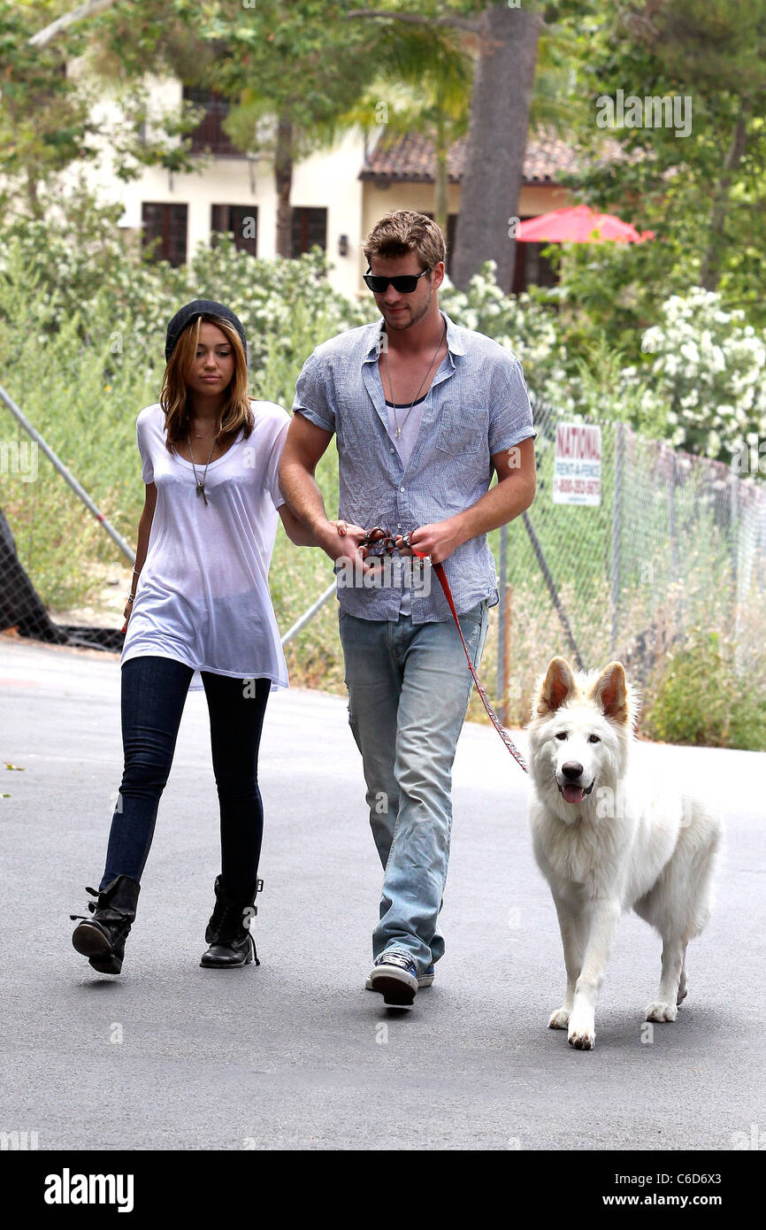 Miley Cyrus Und Liam Hemsworth Gesehen Spaziergang Mit Dem Hund Zusammen In Toluca Lake Los Angeles Kalifornien 26 06 10 Stockfotografie Alamy