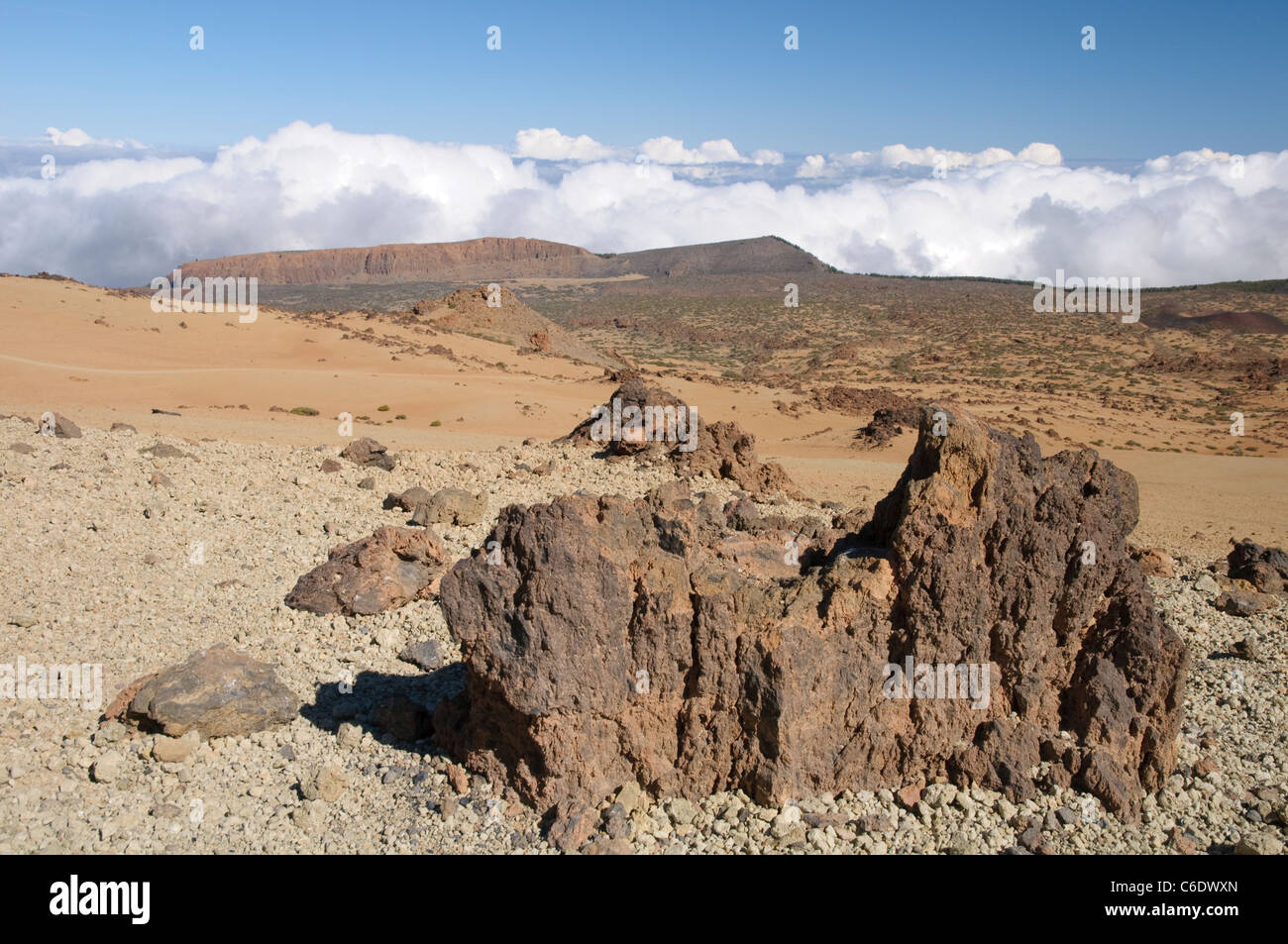 Lava-Bildung, Nationalpark Teide, Teneriffa, Kanarische Inseln, Spanien, Europa Stockfoto