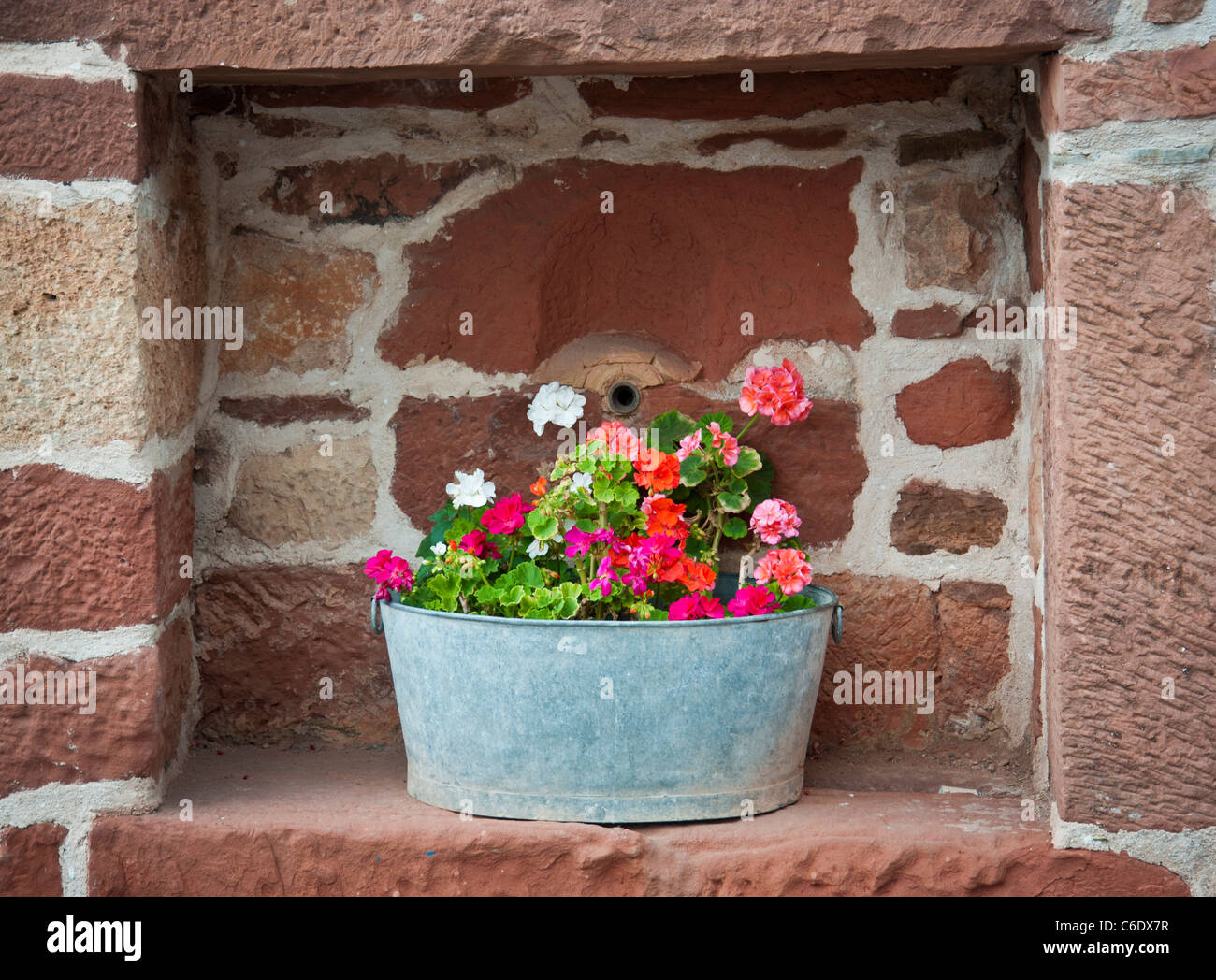 Container von Blumen im Alkoven auf rotem Sandstein Brick wall Collonges La Rouge Stockfoto