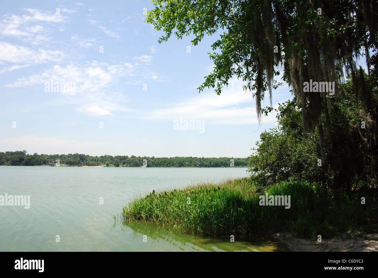 Lake Wauberg in Paynes Prairie Preserve State Park in der Nähe von Micanopy Florida USA Stockfoto