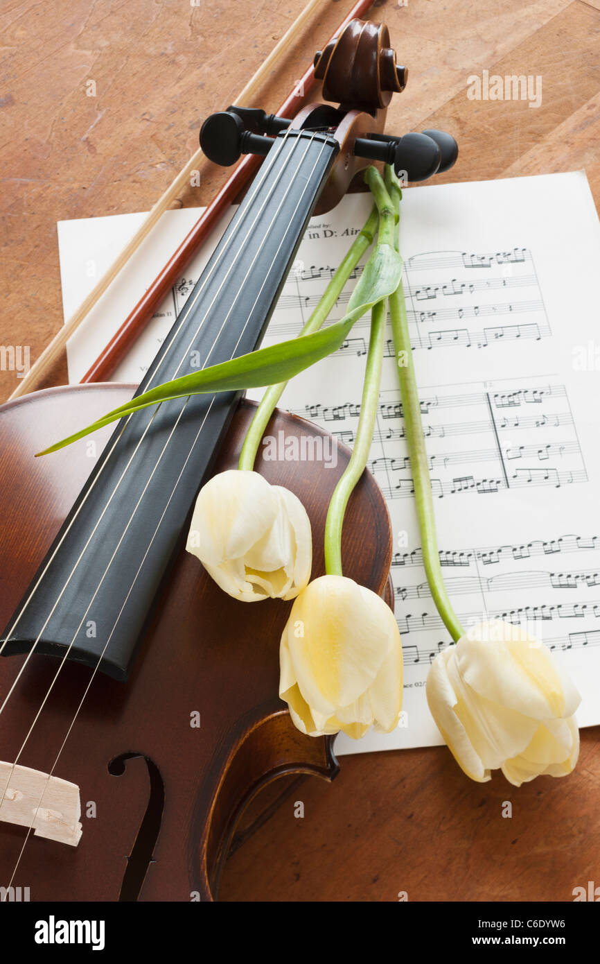 Violine und Tulpen zu den Noten Stockfoto