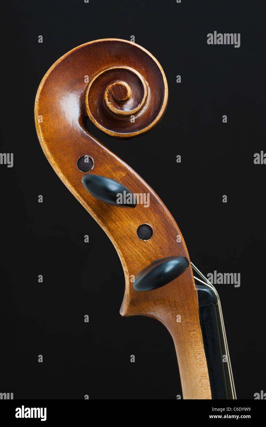 Violine-Kopf Stockfoto