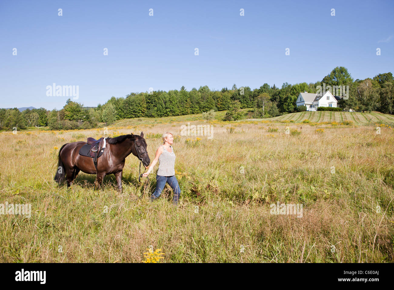 Kaukasische Frau Pferd durch Feld führt Stockfoto