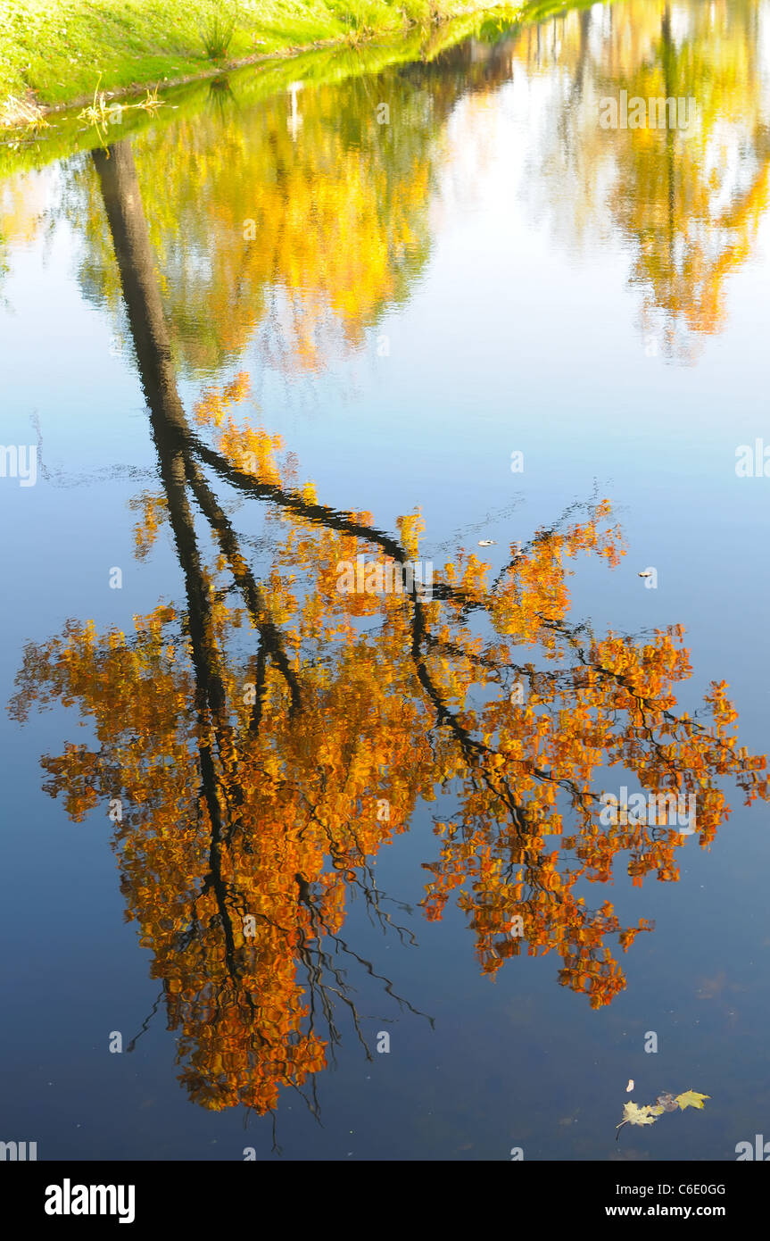 Autumn Tale - ein Spiegelbild des Ahorns im See Stockfoto