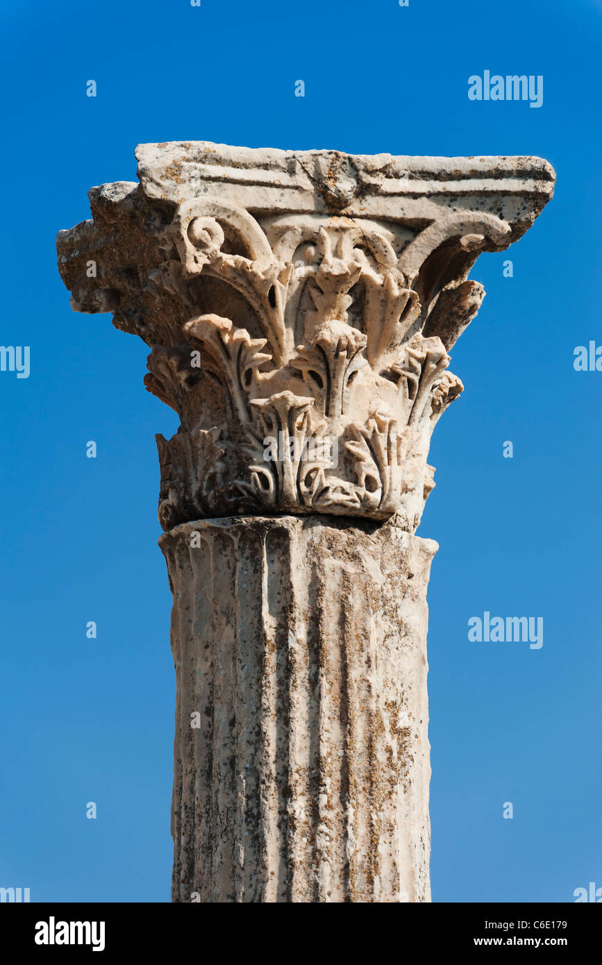 Korinthische säule Fotos und Bildmaterial in hoher Auflösung Alamy