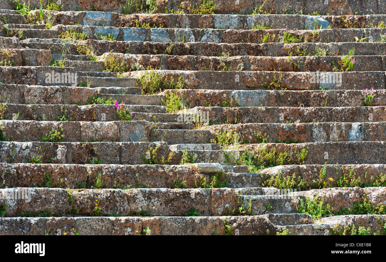 Türkei, Ephesus, römische Amphitheater Schritte Stockfoto