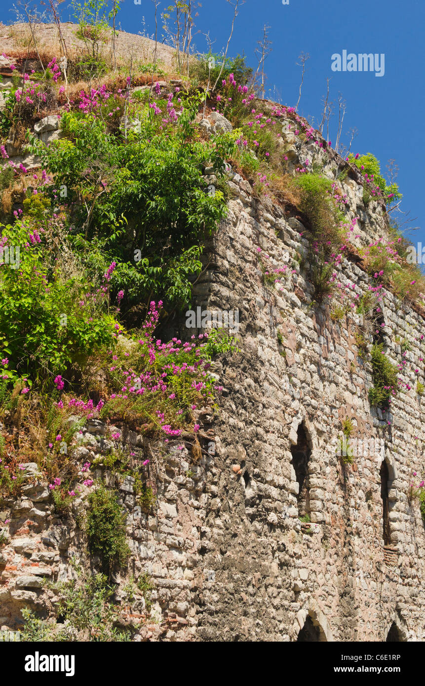 Türkei, Istanbul, Ruine Stockfoto