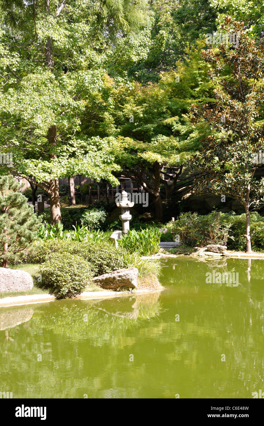 Japanischer Garten, Fort Worth, Texas, USA Stockfoto